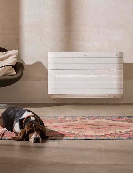 chien devant un radiateur